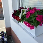Agat Goscinne Séjour chez l'habitant