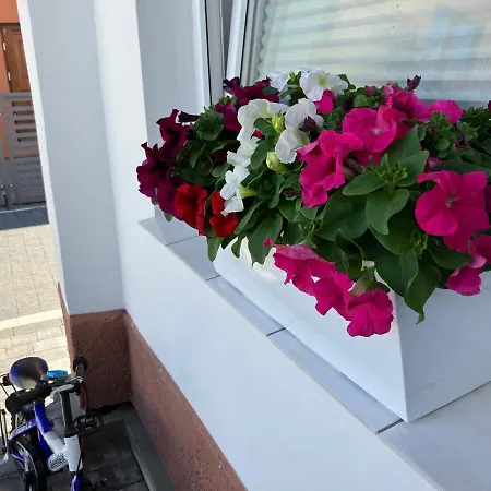 Agat Goscinne Accommodatie bij particulieren