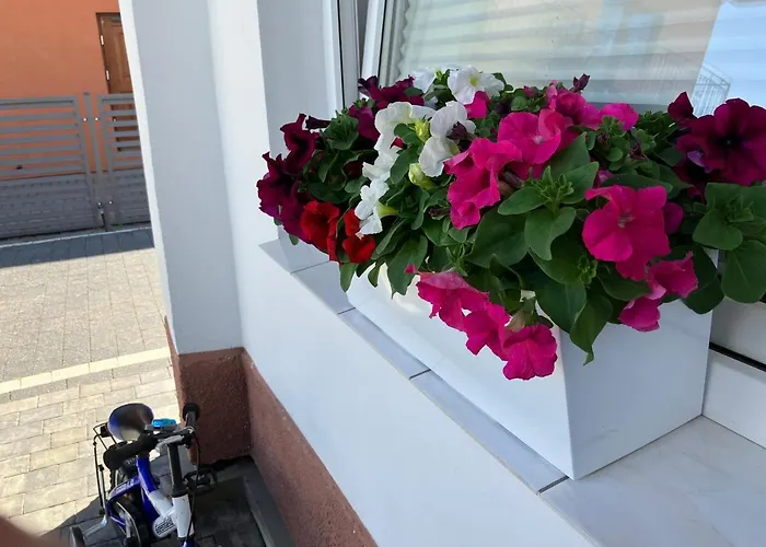 Gościnne Agat Kwatera prywatna